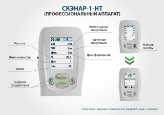 СКЭНАР-1-НТ (исполнение 01)  в Чистополе купить Скэнар официальный сайт - denasvertebra.ru 